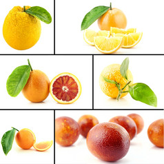 健康的而且有机食物集新鲜的橙色