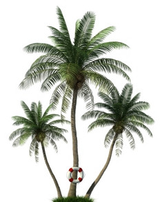 三个棕榈树而且浮标孤立的white-rendering