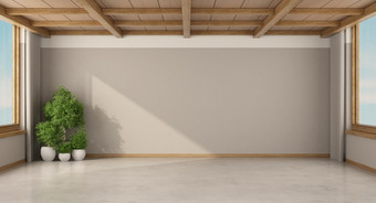 空房间与大窗户室内植物和木天花板呈现空房间与室内植物和木天花板