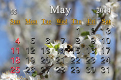 日历为的五月一年的背景飞行大黄蜂