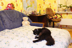 黑色的猫说谎倾向的床上孩子们房间
