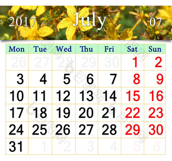 日历为7月与黄色的花圣约翰的麦汁