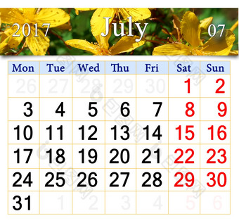 日历为7月与黄色的花圣约翰的麦汁