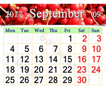 日历为10月与分支五味子属日历为10月与的丝带分支红色的成熟的五味子属