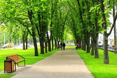 美丽的公园与不错的散步路径和大绿色树美丽的公园与不错的散步路径绿色草长椅和高大树