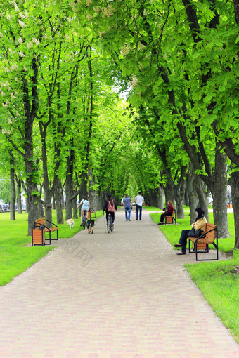 城市<strong>公园</strong>与散步路径长椅和大绿色树美丽<strong>的</strong>城市<strong>公园</strong>与不错<strong>的</strong>散步路径长椅和大绿色树城市<strong>公园的春天</strong>