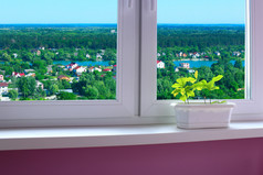 花盆的窗台和视图的国家房子花盆的窗台舒适的房间和视图的国家房子