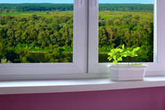 植物的能的窗台和视图的河景观植物的能的窗台和视图从的窗口的景观与河