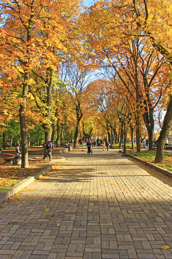 城市公园与人走街小巷与长椅秋天季节秋天与黄色的树叶树人走秋天的城市公园人休息公园人走秋天的城市公园季节秋天与黄色的树叶树