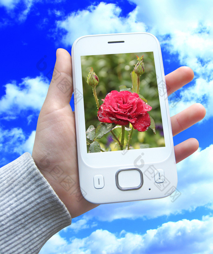 现代移动电话手背景蓝色的天空智能手机与图像红色的玫瑰人类手现代通信现代移动电话手背景蓝色的天空