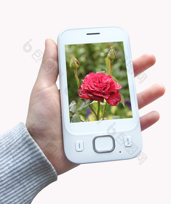 智能手机与图像红色的玫瑰手<strong>现代</strong>移动电话手孤立的白色背景<strong>现代</strong>通信智能手机与图像红色的玫瑰手<strong>现代</strong>移动电话手孤立的