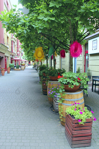 自然现代城市花城市街装饰美丽的花床城市城市自然华沙花装饰城市街花城市街装饰城市自然华沙