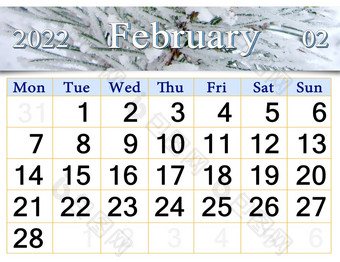 2月日历为组织者计划和提醒自然背景日历为2月与丝带松针每月日历2月日历为组织者计划和提醒自然背景