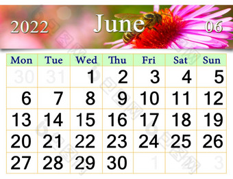 6月日历为组织者计划和<strong>提醒</strong>自然背景日历为6月与图像开花Aster和飞行蜜蜂每月日历6月日历为组织者计划和<strong>提醒</strong>自然背景