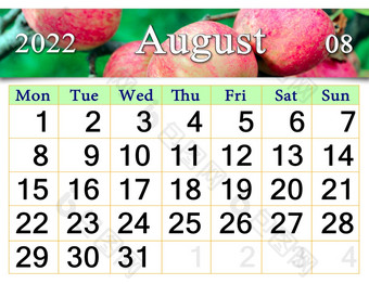 8月日历为组织者计划和提醒自然背景日历为8月与图像与成熟的红色的苹果的分支树每月日历8月日历为组织者计划和提醒自然背景