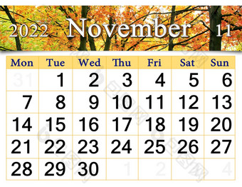 11月日历为组织者计划和提醒自然背景日历为11月与图像与树黄色的叶子森林每月日历首页规划师11月日历为组织者计划和提醒自然背景