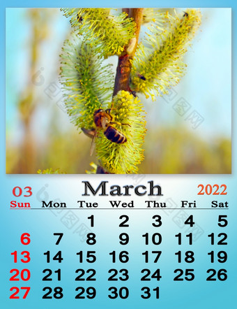 3月日历为组织者计划和提醒自然背景日历为3月与图像开花猫咪柳树味蕾每月日历3月日历为组织者计划和提醒自然背景