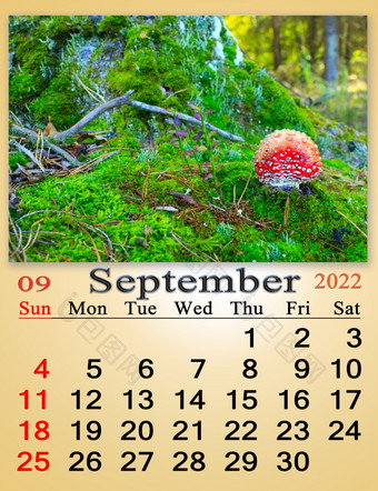 日历为10月与图像与成熟的红色的苹果的分支树每月日历日历为10月与图像飞木耳日益增长的绿色莫斯日历为10月与图像飞木耳日益增长的绿色莫斯