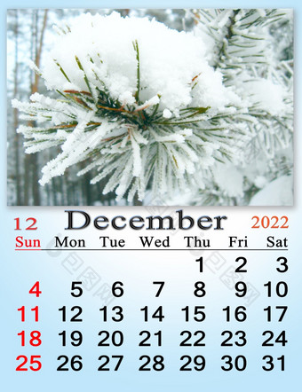 美丽的日历为12月与图片松分支覆盖与雪新一年月与树分支覆盖与霜和日历首页规划师天气calensar日历为12月与图片与松分支覆盖与雪