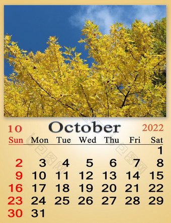 10月日历为组织者计划和<strong>提醒</strong>自然背景日历为10月与图像黄色的叶子枫木树森林日历首页规划师10月日历为组织者计划和<strong>提醒</strong>自然背景