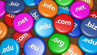 互联网域的名字网站举办概念与域标志色彩斑斓的徽章插图