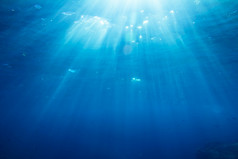 水下拍摄与sunrays和鱼深热带海