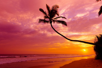 温暖的充满活力的<strong>热带</strong>日落在的海洋与椰子棕榈树轮廓宁静的夏天海滩岛<strong>度假</strong>胜地和太阳反射波