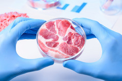 生肉样本实验室佩特里菜培养实验室种植肉肉检查概念