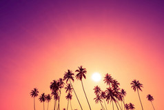 美丽的热带日落与棕榈树轮廓和天空复制空间的地方