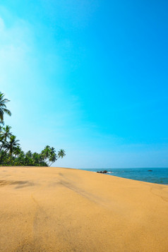 美丽的海滩热带岛与椰子棕榈树和清洁沙子清晰的阳光明媚的夏天一天