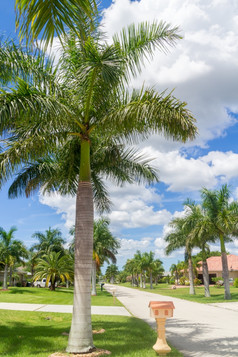 美丽的棕榈树的国狭窄的街角珊瑚佛罗里达