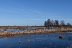 淹没了伟大的草原春天季节的瑞典岛奥兰