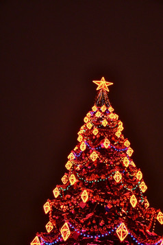 圣诞节树与装饰的城市公园新一年rsquo夏娃