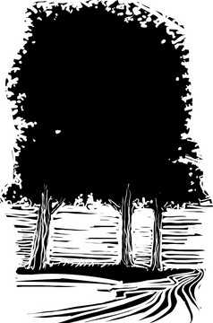 木刻表现主义风格图像格罗夫树