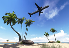 客机通过在棕榈树使软件