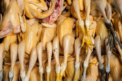 生新鲜的有机鸭为出售亚洲食物市场