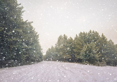 寒冷的景观风景与平县和森林雪景观背景为复古的圣诞节卡冬天树仙境冬天场景圣诞节新一年背景冬天的演讲