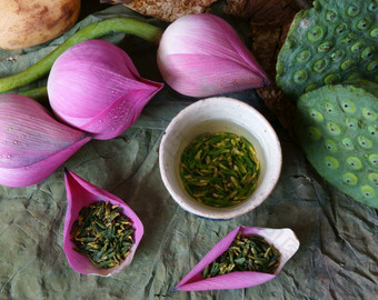 集合莲花粉红色的莲花花绿色种子白色莲花种子新鲜的而且干herbal茶这植物区系与令人惊异的摘要概念充满活力的颜色这食物使健康的<strong>好睡眠</strong>