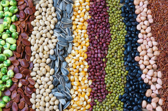 集合粮食麦片种子豆农业产品亚洲国家健康的食物营养吃而且纤维食物