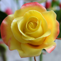 美妙的粘土艺术关闭黄色的玫瑰花美丽的人工花工艺与熟练的