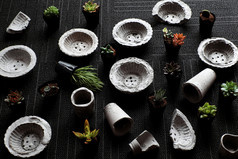 手工制作的花能使从水泥为植物多汁的装饰首页令人惊异的黑色的背景与迷你锅和绿色植物学从前视图