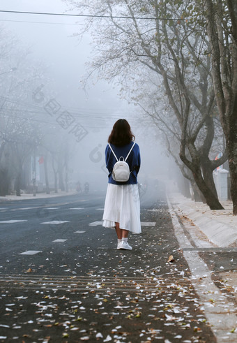 令人惊异的场景早期早....与女孩穿背包站看向前雾多雾的街与花瓣从行白色花沿着路年城市越南南