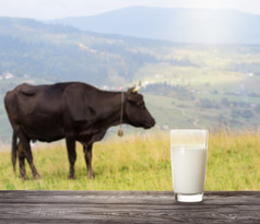 玻璃牛奶木表格背景牛山牧场的概念自然食物玻璃牛奶木表格背景牛山