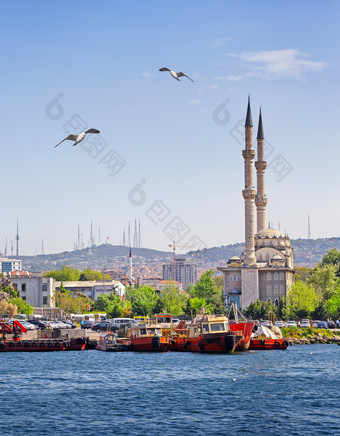 清真寺的海岸伊斯坦布尔清真寺和船只下的蓝色的天空伊斯坦布尔夏天火鸡清真寺的海岸伊斯坦布尔