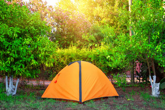 橙色帐篷在橙色树下的明亮的太阳夏天景观橙色帐篷在橙色树下的明亮的太阳