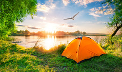 橙色帐篷的湖和海鸥的天空日落绿色草和树夏天景观橙色帐篷湖和海鸥天空日落