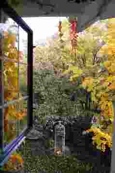 秋天从窗户看庭院中的美景