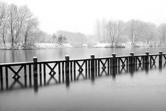 下雪后的湖边风景