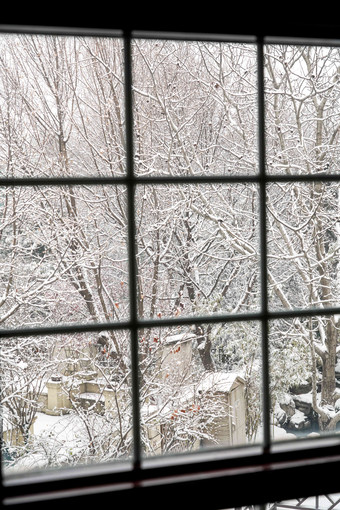 窗户外的雪景