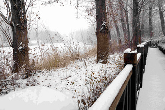 雪后湖边的木栈道